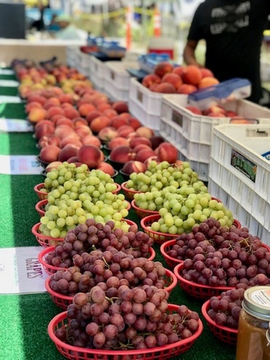 San Marcos Farmers Market Aug 13, 2024